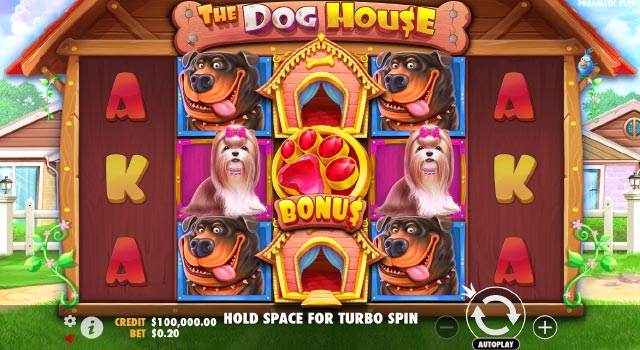 The dog house слот